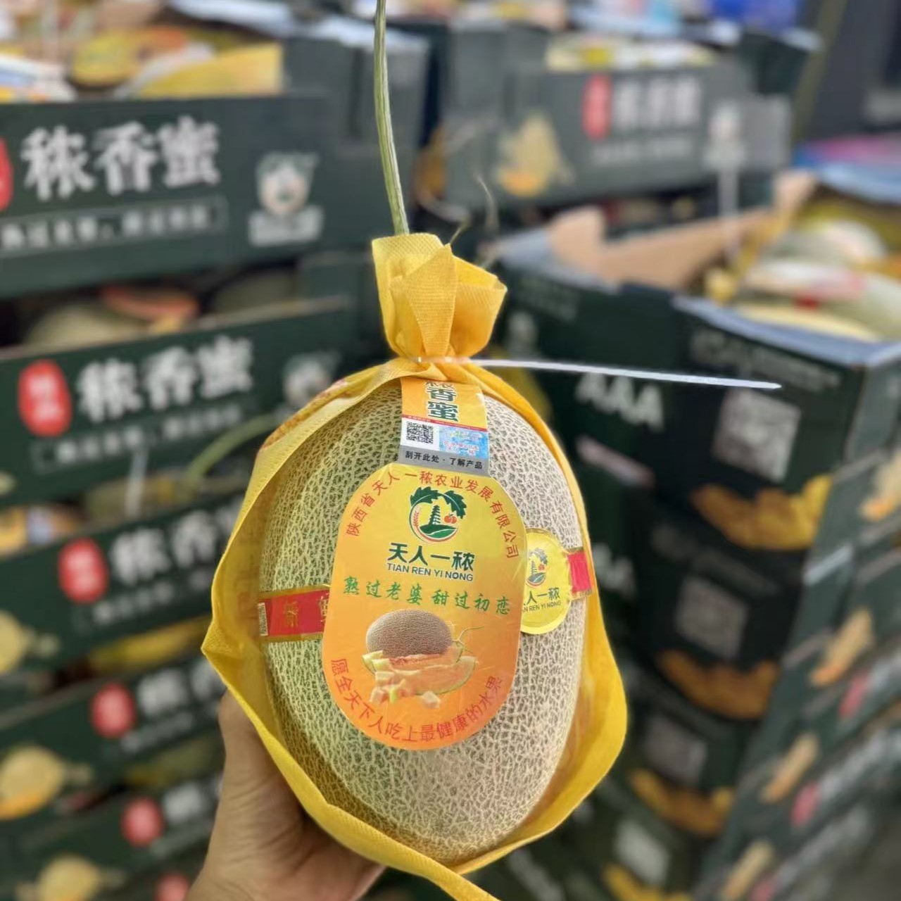 天人一秾海南哈密瓜（酥脆香甜，化渣度高）