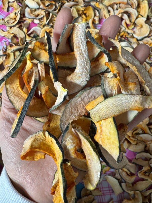 东北农家窝瓜干自然晒干