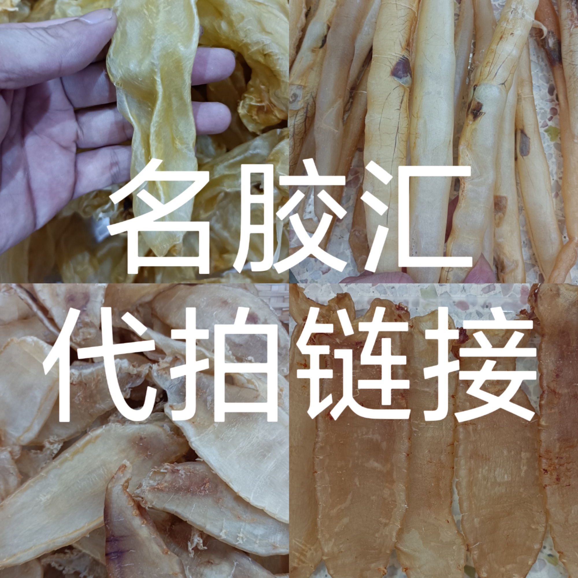 各种鱼胶临时改价链接1克-500克