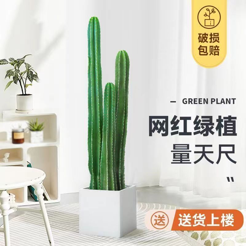 仙人柱量天尺盆栽北欧风室内大型客厅好养多肉植物仙人掌绿植