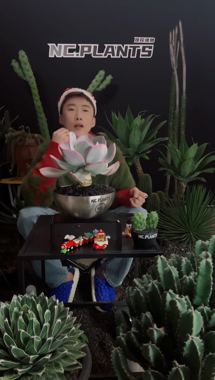 【闪购商品】布鲁克林的蓝