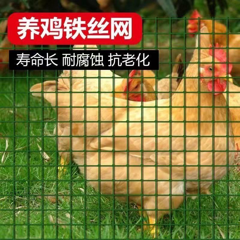 包塑铁丝网围栏养殖网养鸡网菜园圈地护栏网家用小网格隔离防护网