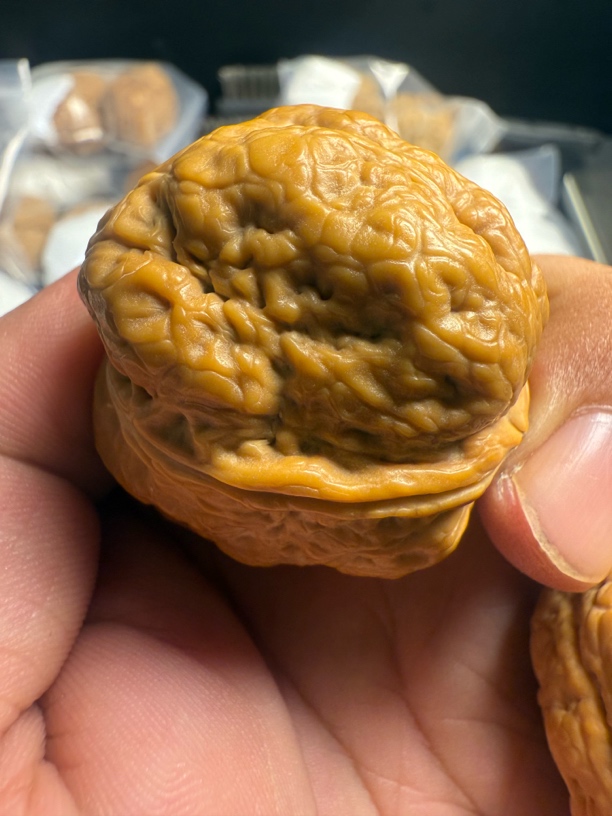 云南铁核桃 平头蟾 高端名款