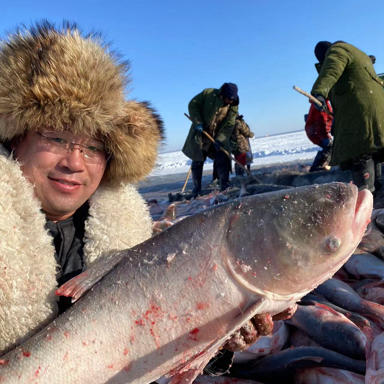 淡水 大胖头鱼王（10斤到500斤）速冻锁鲜发货，包邮