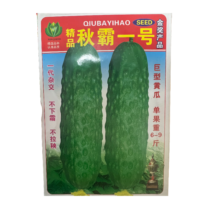 鑫东方秋霸一号黄瓜种子