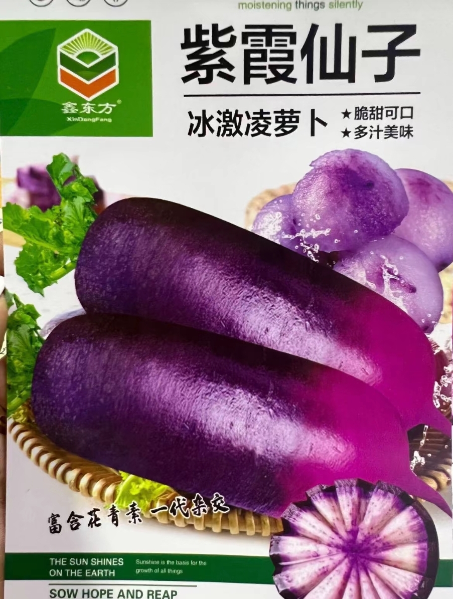 紫霞仙子冰激淋萝卜种子