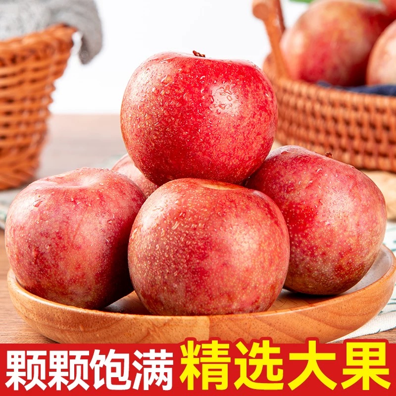 新疆恐龙蛋李子新鲜水果当季采摘红心杏