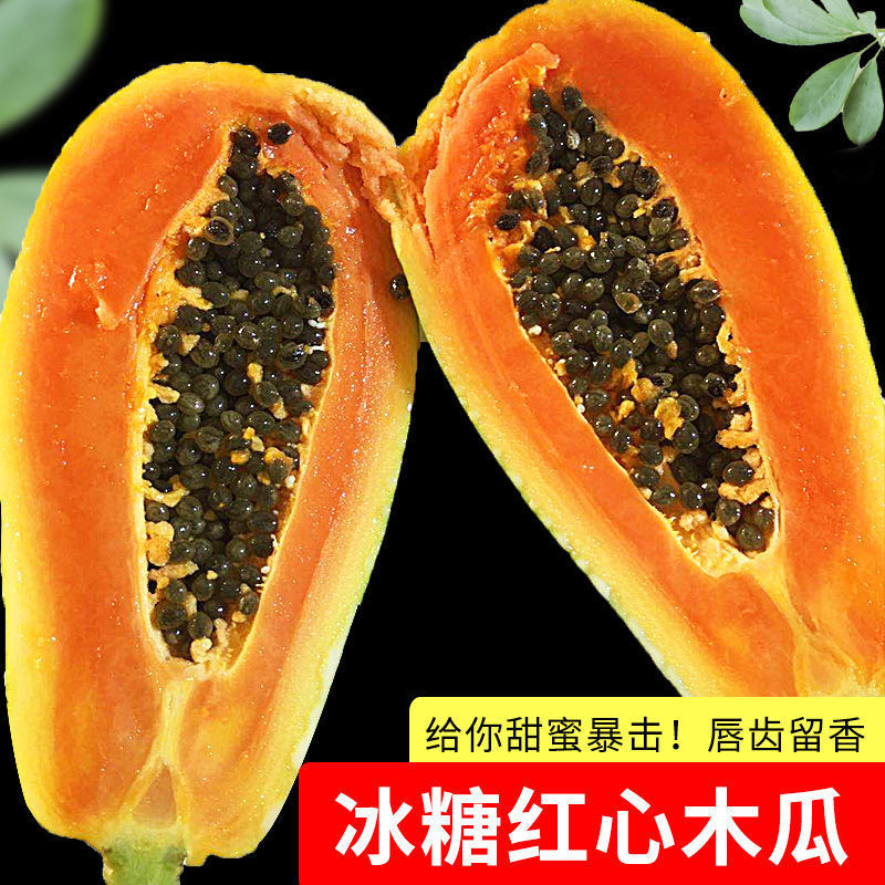 【进取】海南红心木瓜新鲜孕妇水果当季特产大青冰糖红心牛奶木瓜3/