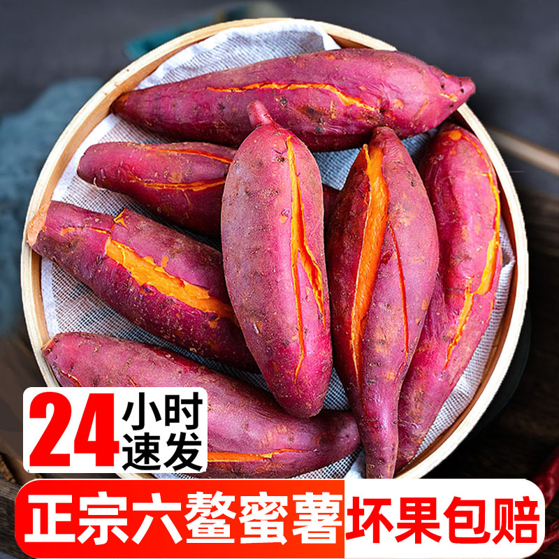 【进取】六鳌蜜薯新鲜红薯糖心沙地红心番薯整箱农家自种山芋烤地瓜