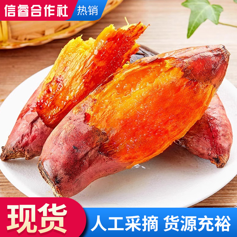 【进取】红薯西瓜红蜜薯 农家山芋蜜薯 现摘新鲜沙地番薯地瓜糖心蜜