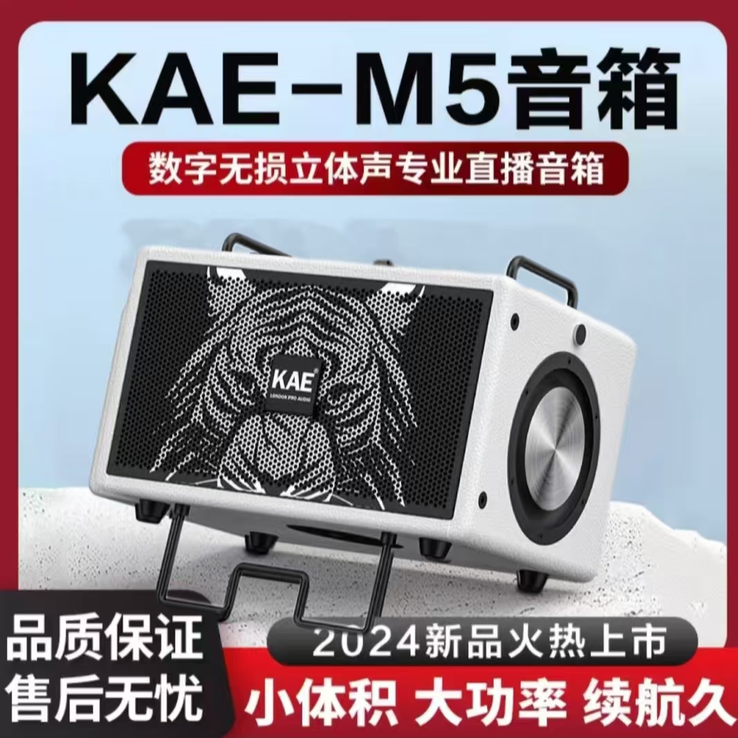 KAE-M5音箱 电吹管吉他户外便携音箱小体积大功率数字立体音箱