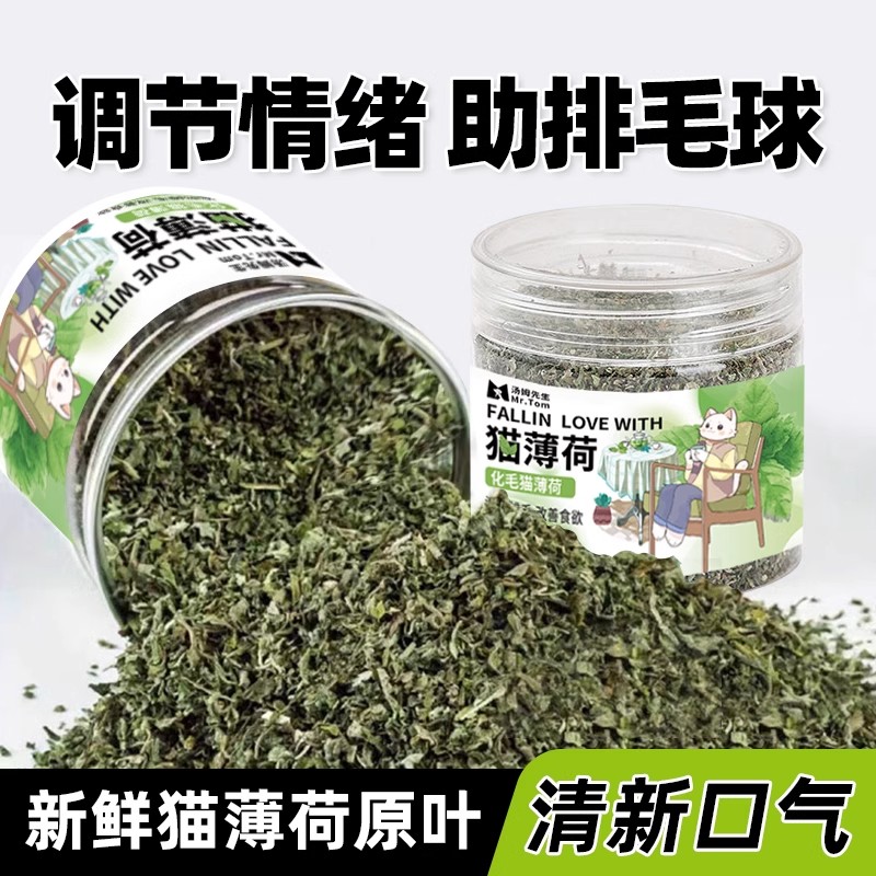 猫薄荷罐装自嗨解闷去毛球天然可食用猫粮超强薄荷草干草薄荷球