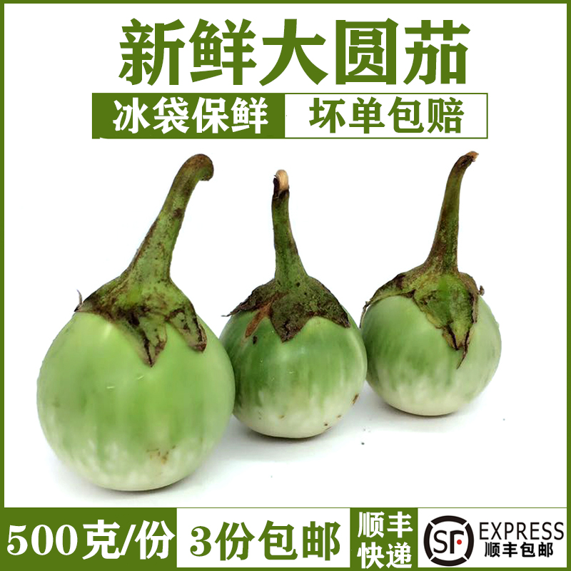 【小扬哥甄选】新鲜圆茄 500g 大圆茄 幼茄茄子绿咖喱配料东南亚