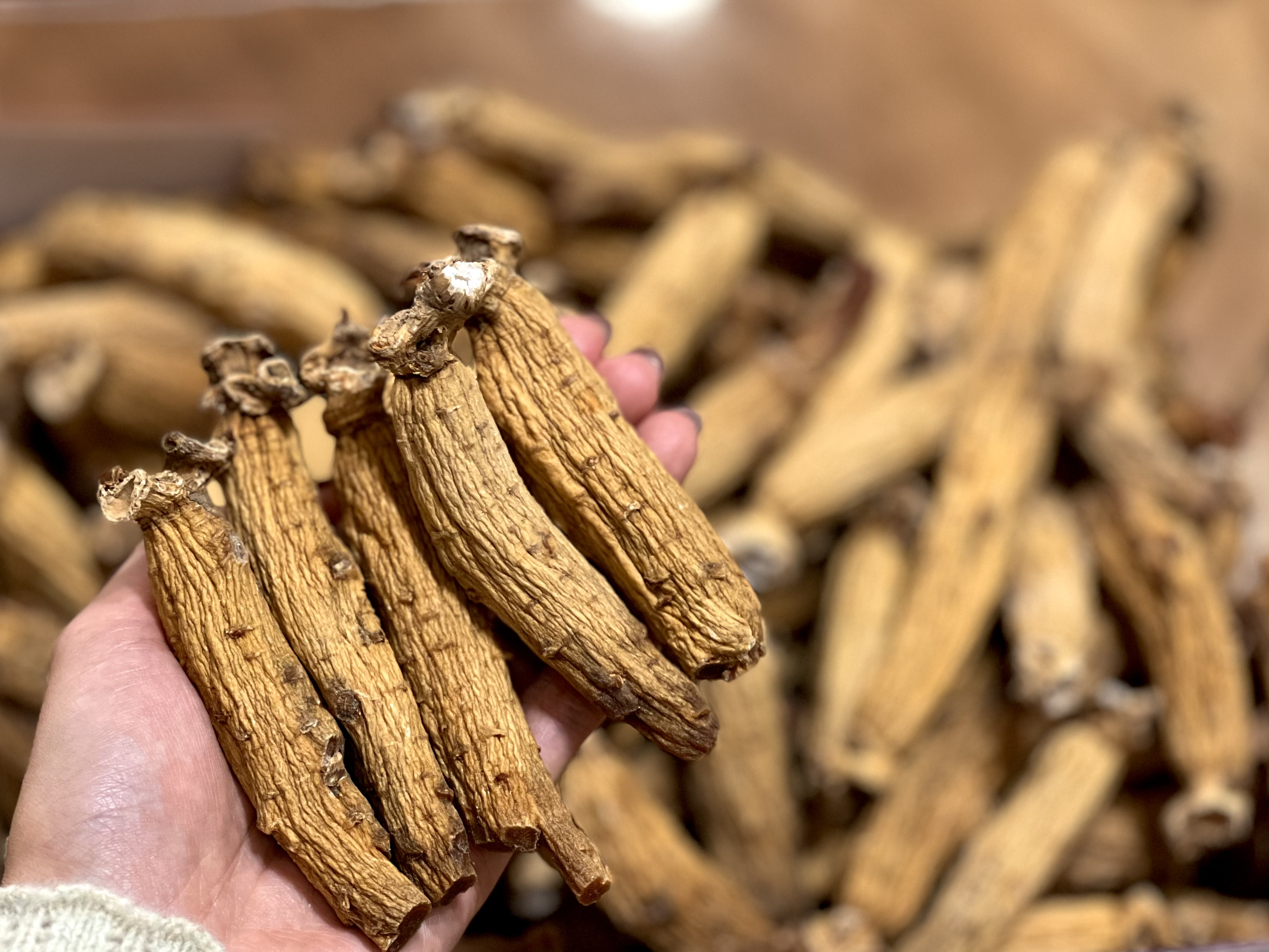 原枝韩种太极（20枝/斤）默认代客切片 更高级别的高丽种类