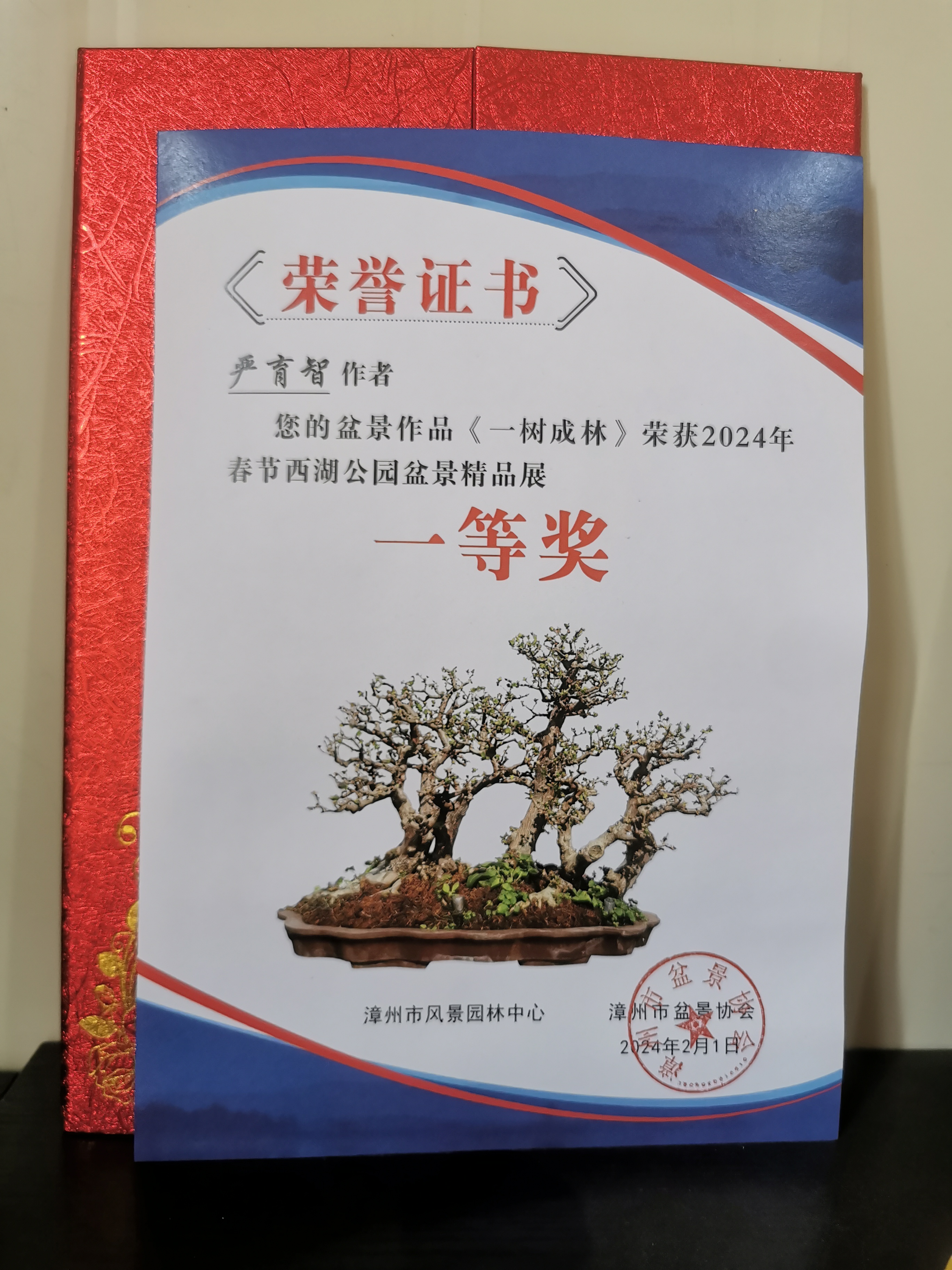 一树成林，雀梅，年工老桩！