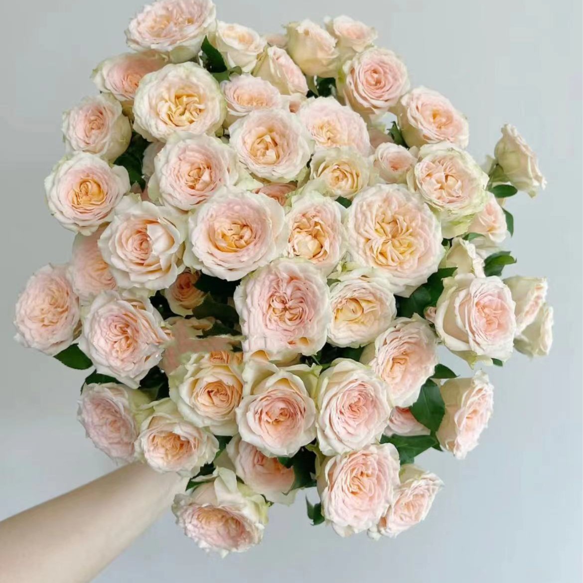 【陌上花开】百香果冰沙-多头玫瑰