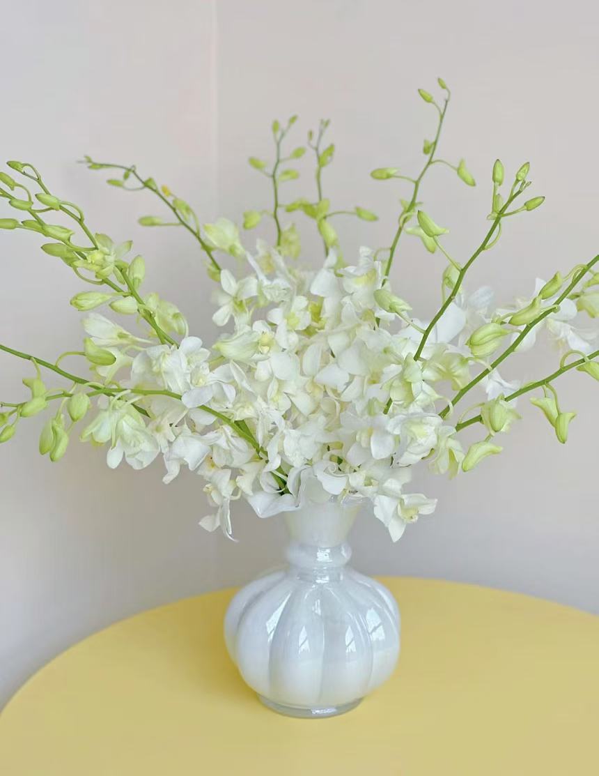 【陌上花开】10支装白色洋兰-鲜切花