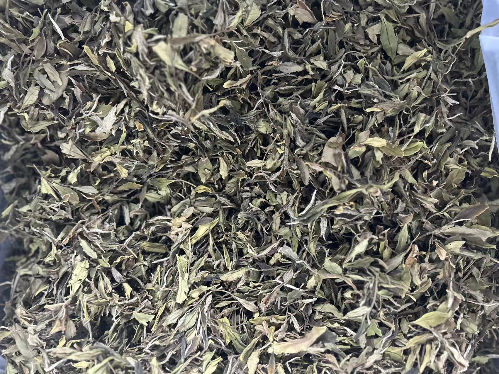 贡眉编号2022020小菜茶-同庆