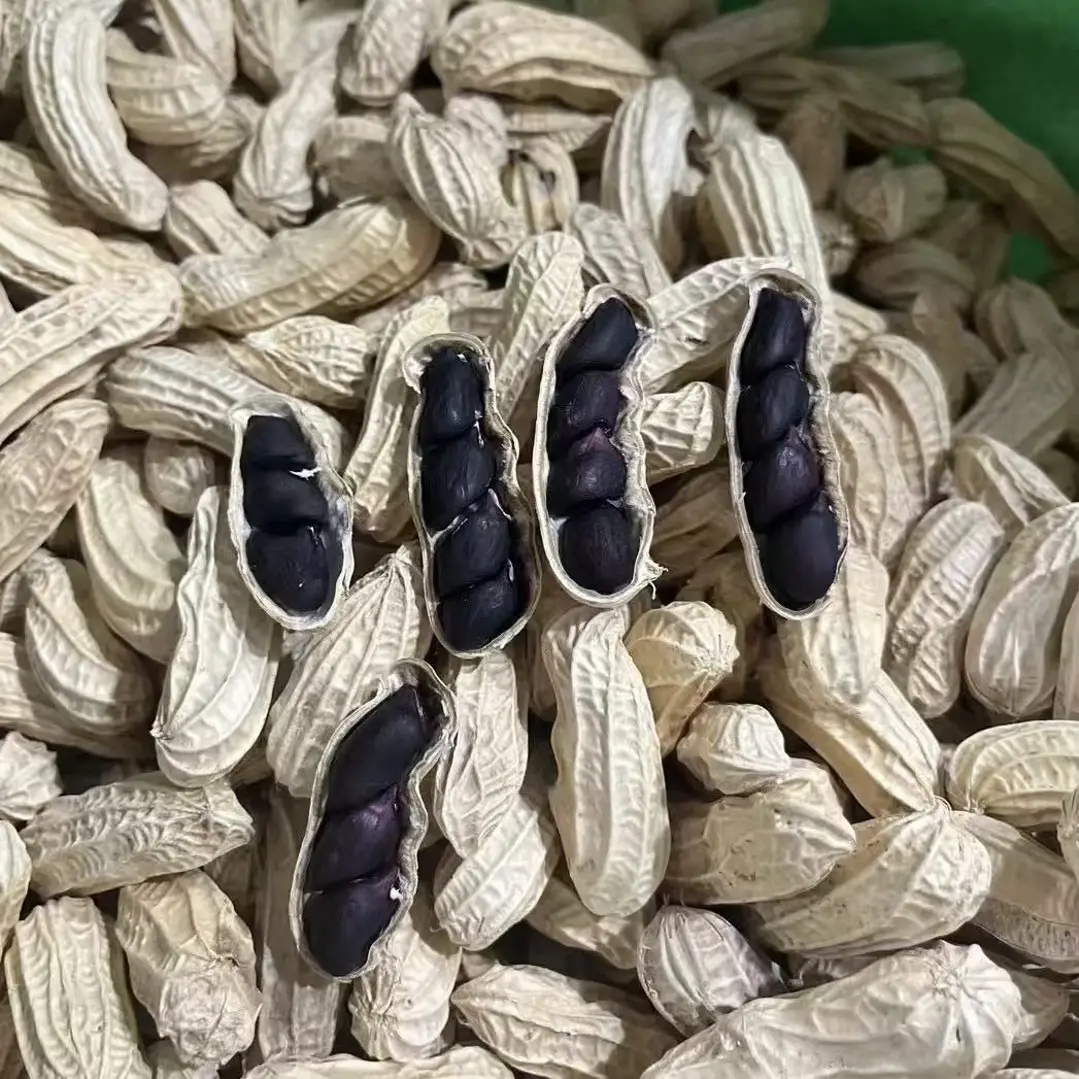 云南特产富硒纯黑花生带壳生熟可选营养健康零食