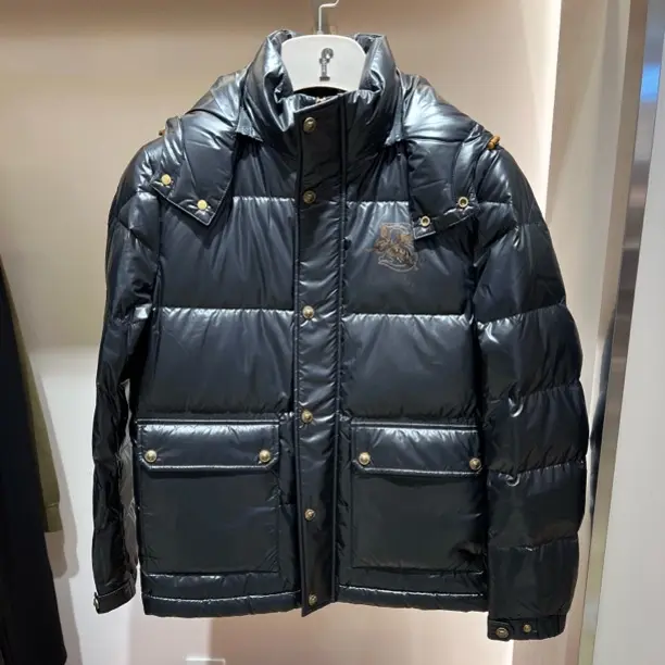 男士冬季立领连帽防风保暖加厚白鸭绒休闲外套