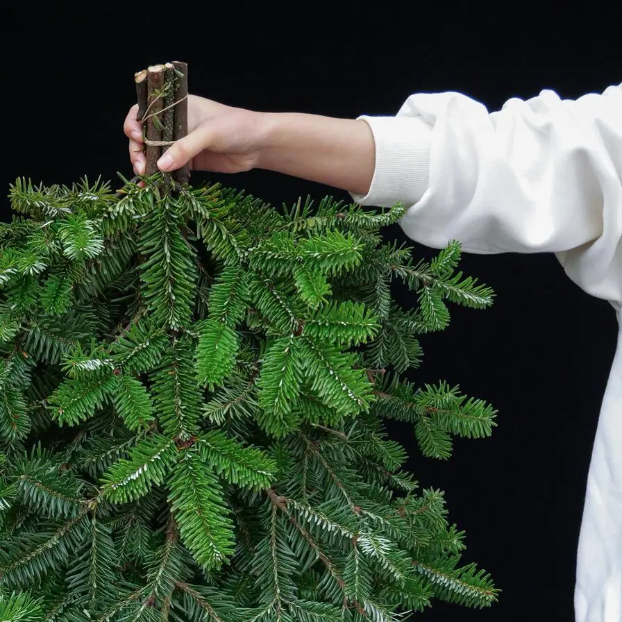 诺贝松鲜花圣诞节高端软装花材客厅装饰水培鲜切云南基地直发