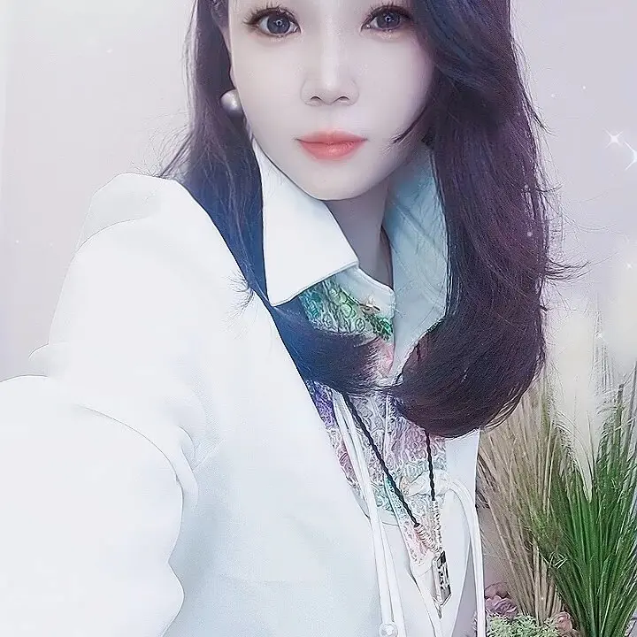 新中式立领盘扣刺绣长袖衬衫女复古中国风百搭上衣