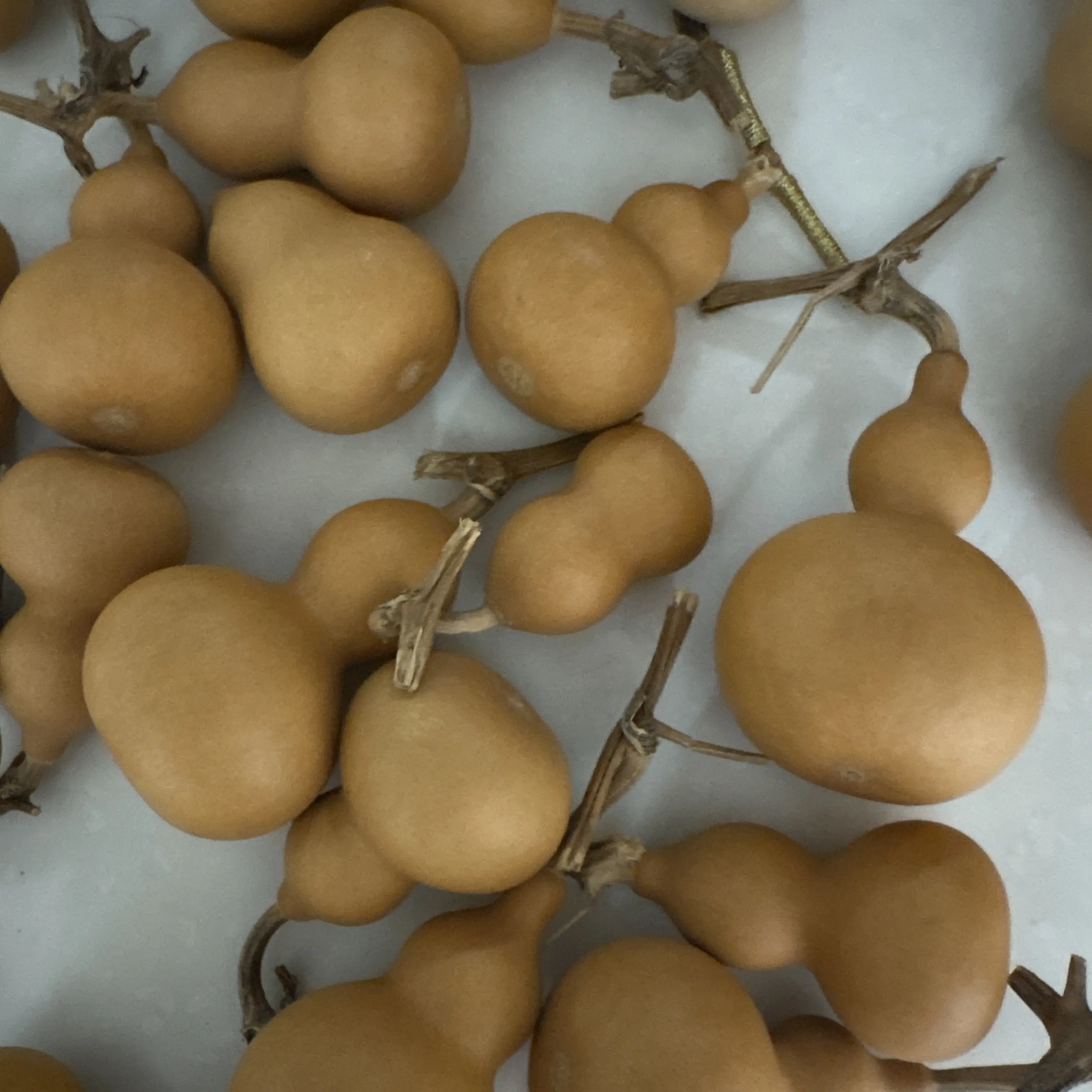 小老皮天然带龙头可盘玩文玩小葫芦手把件摆件