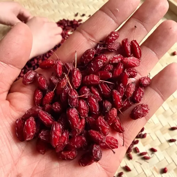 精选伏牛山野生带核干货山茱萸