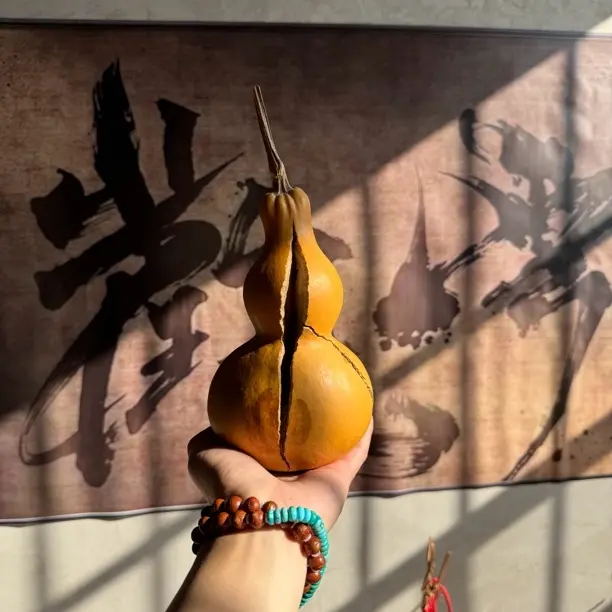 精品双脐连枝天裂葫芦福禄直播间优选