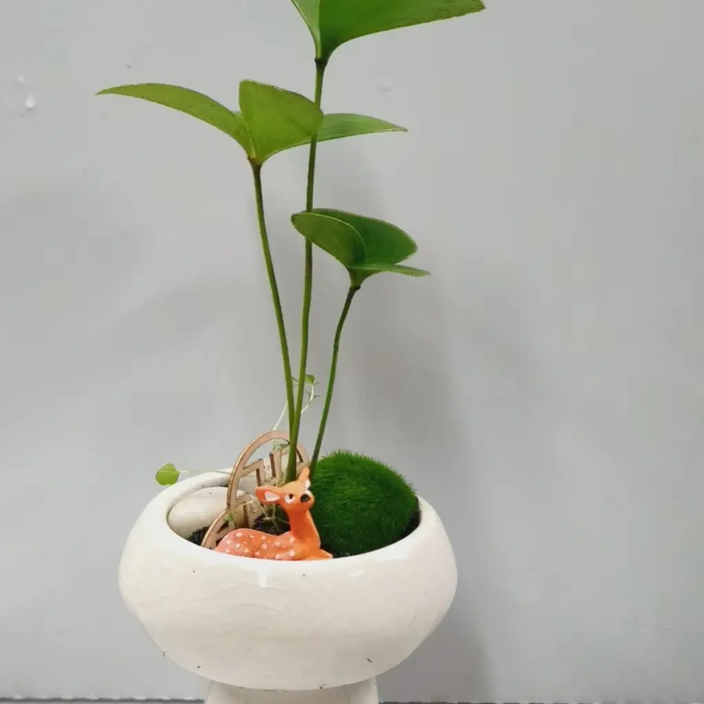 简约ins风墨西哥铁陶瓷花盆绿植