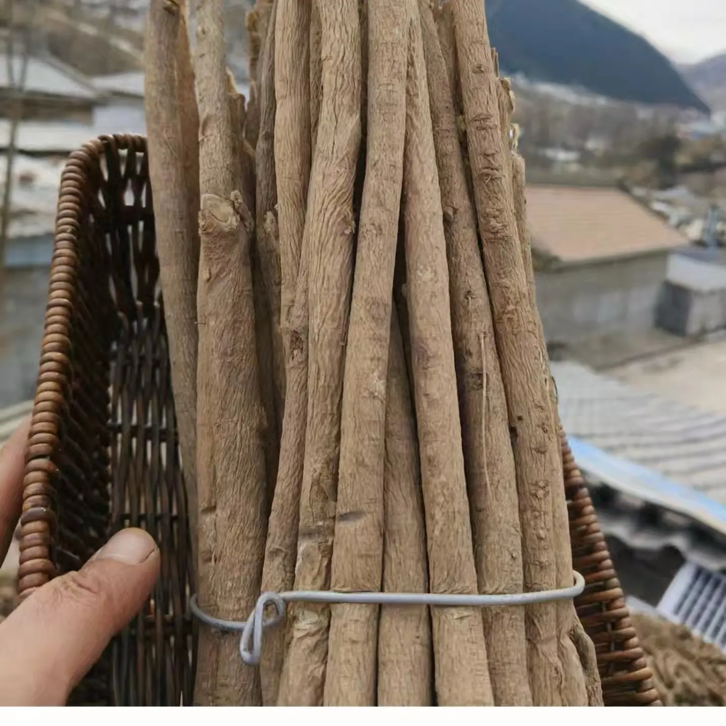 甘肃原产地直发黄芪主干去头去尾全干，煲汤煮茶