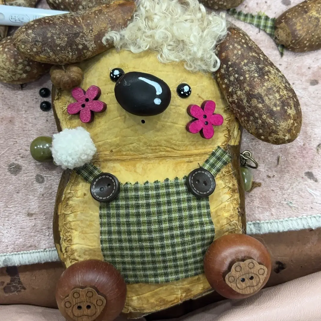 （勿拍）小狗其他类别专拍链接豆荚