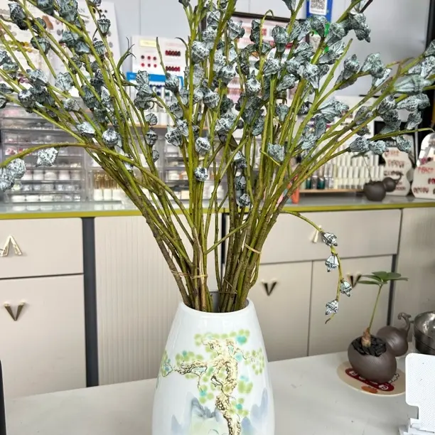 夏日不死鸟新鲜采摘尤加利果可做干花云南基地鲜花花材