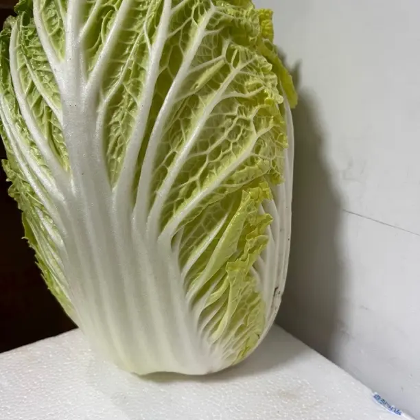 露天霜打新鲜黄心大白菜火锅蔬菜