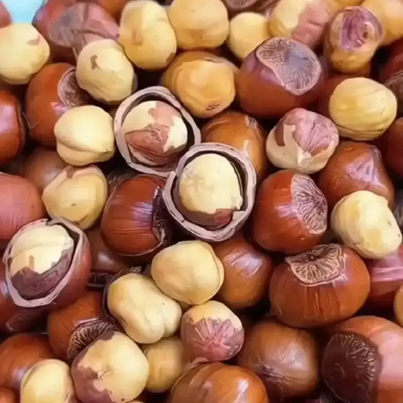 东北开口大榛子东北特产东北榛子薄皮熟榛子坚果炒货零食新鲜