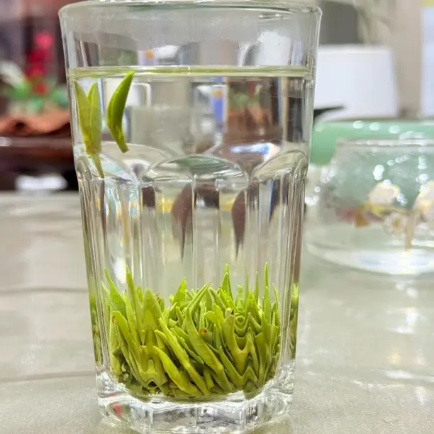 新茶11号紫阳银针甘甜嫩香绿小芽饱满肥壮汤色明亮整齐送礼自己喝