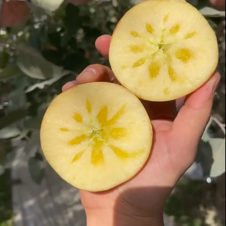 山西临猗冰糖心丑苹果新鲜现摘脆甜多汁当季应季红富士水果