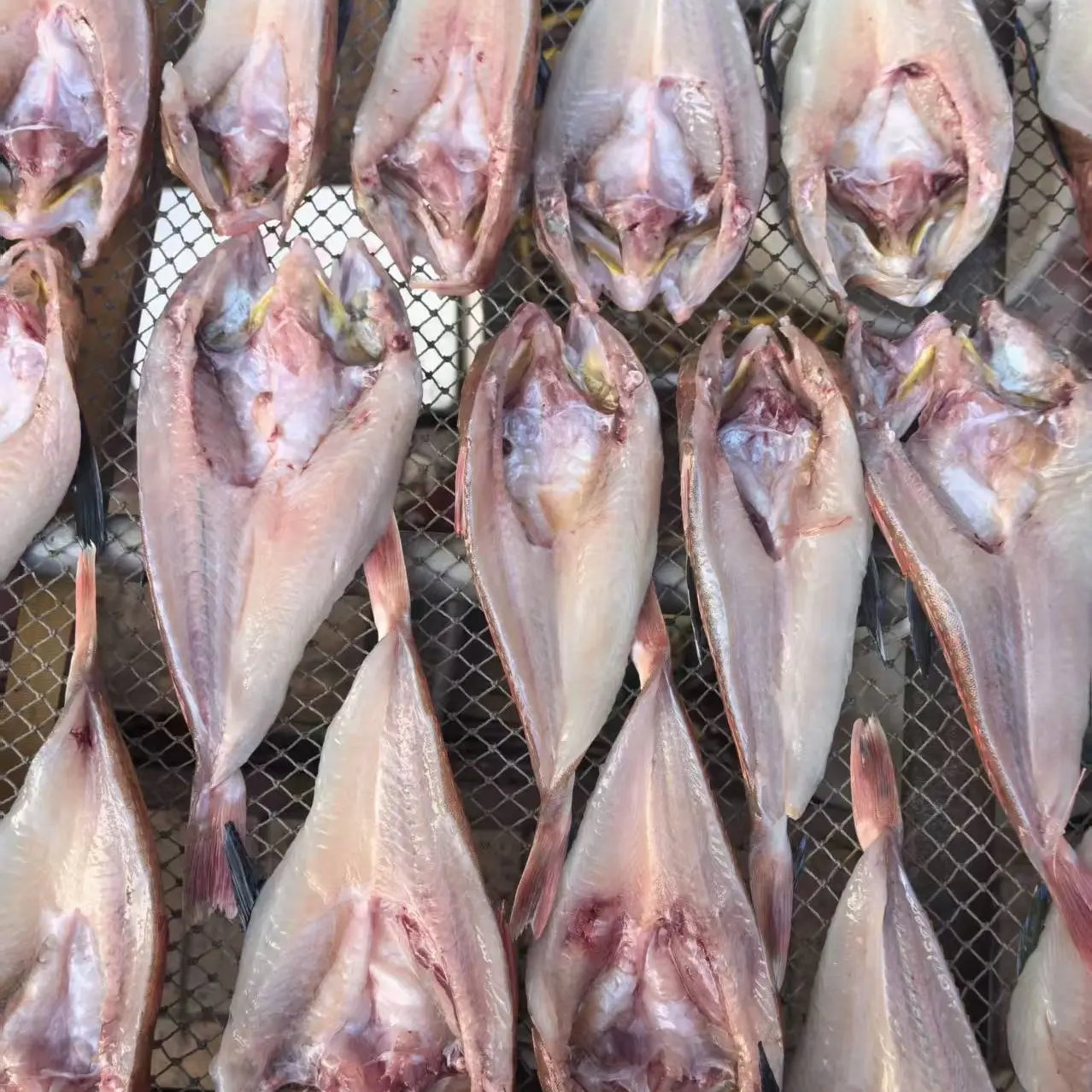 大连本地红头鱼干1斤一份（9-13一斤）