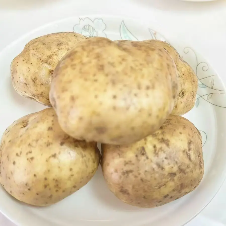 云南巧家高山开花洋芋新鲜现挖现发土豆马铃薯