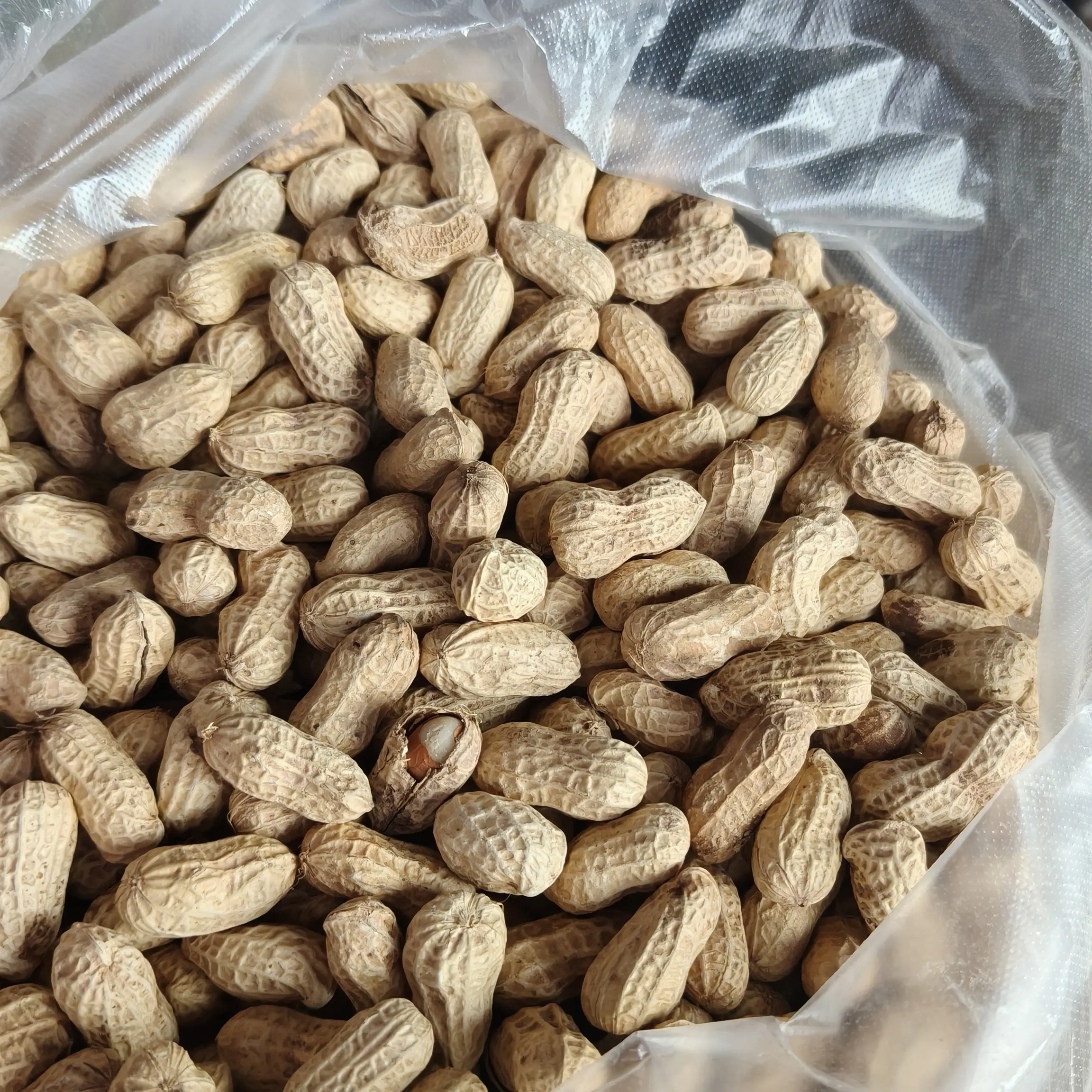 刘书记代卖生花生