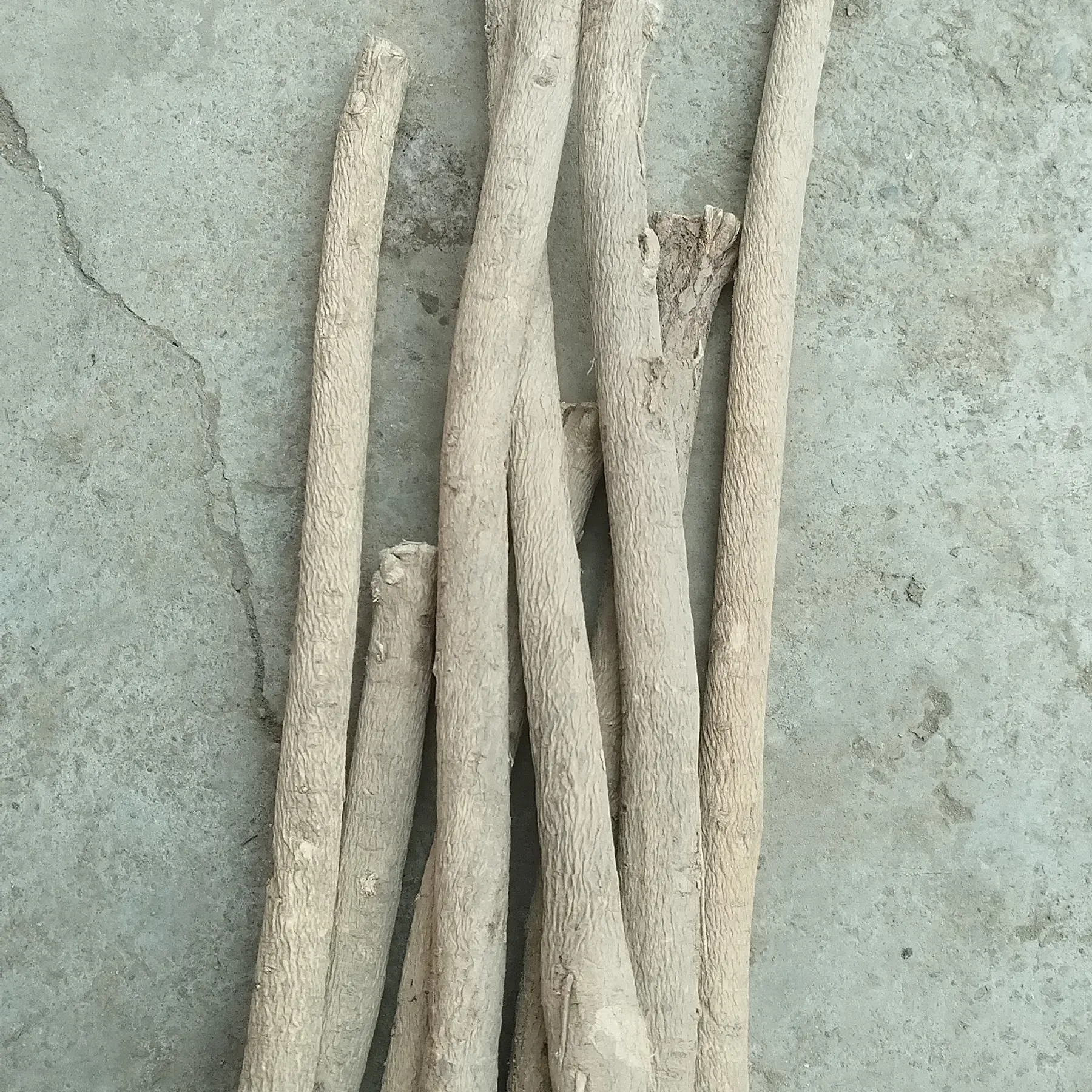 干黄芪可煲汤泡水炖肉滋补养生佳品