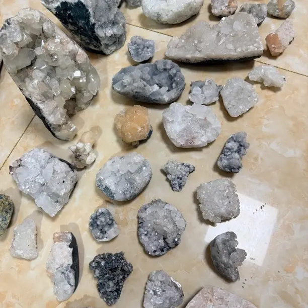 直播链接 一物一拍