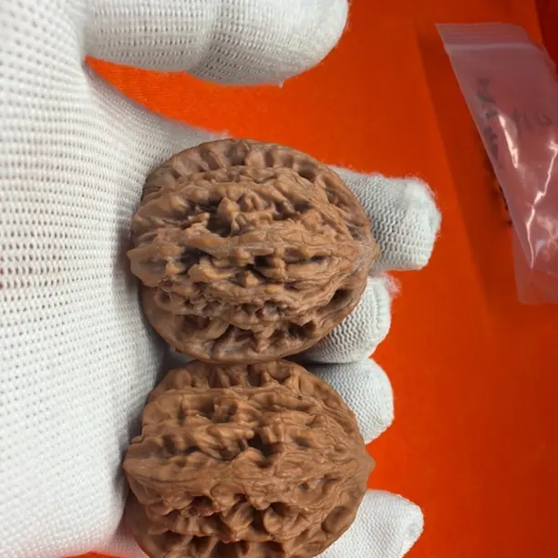 老树山地麦穗虎头HT424145J