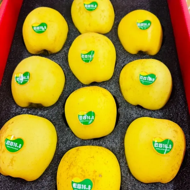 黄金维纳斯苹果，每箱净4斤，云南