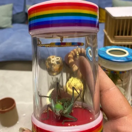 彩虹亚克力蝈蝈七孔叫罐（送蝈蝈）