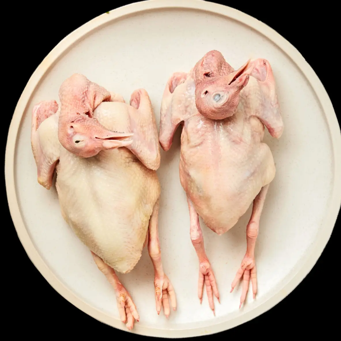 农家散养乳鸽新鲜宰杀原粮饲养鸽子肉顺丰冷运