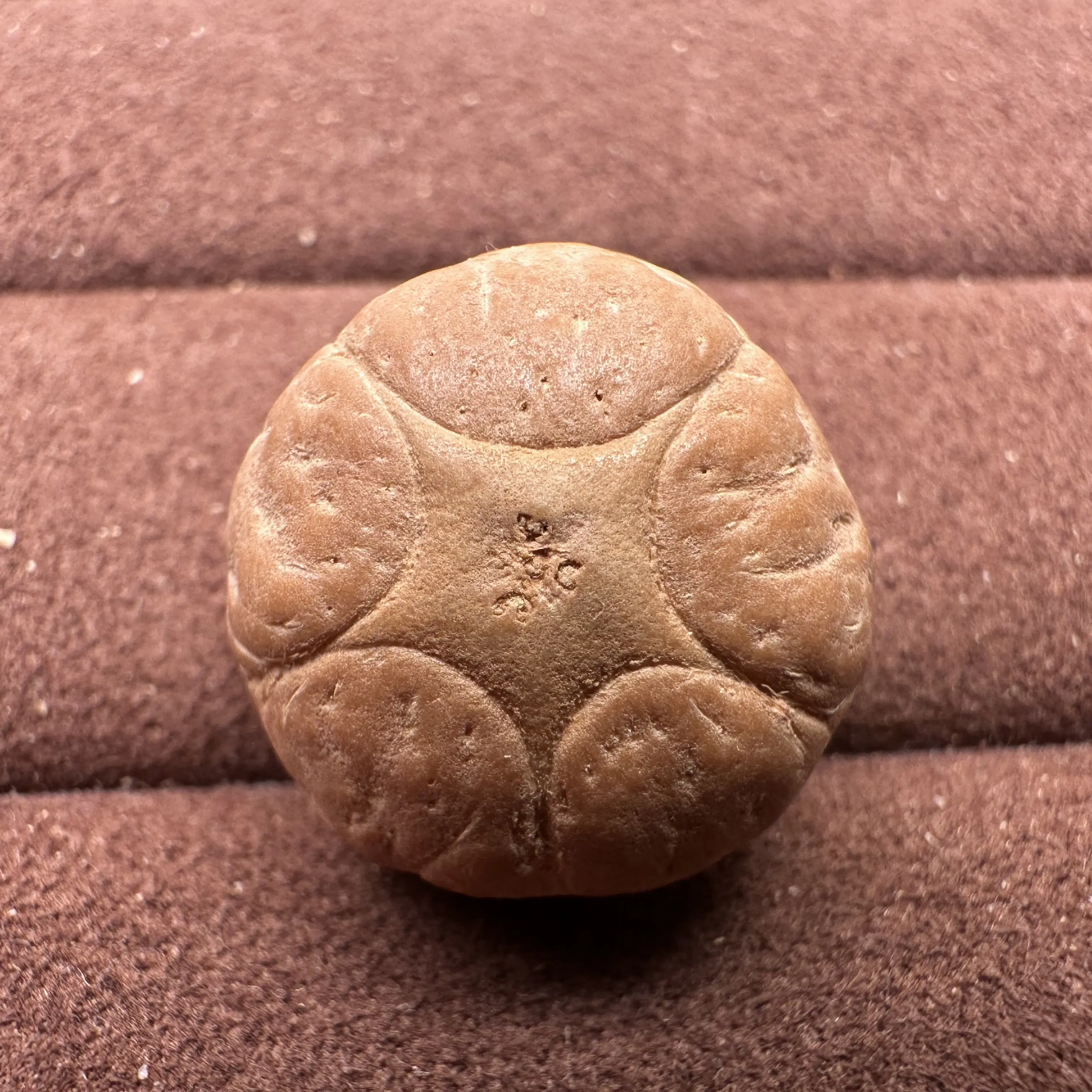 尼泊尔凤眼，五星上将，尺寸21，厚度16，突眼，皮质优秀