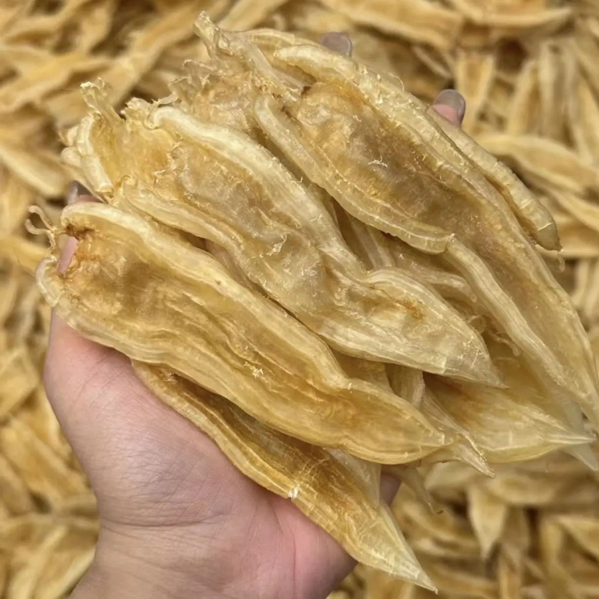 海汇商行 双背胶 