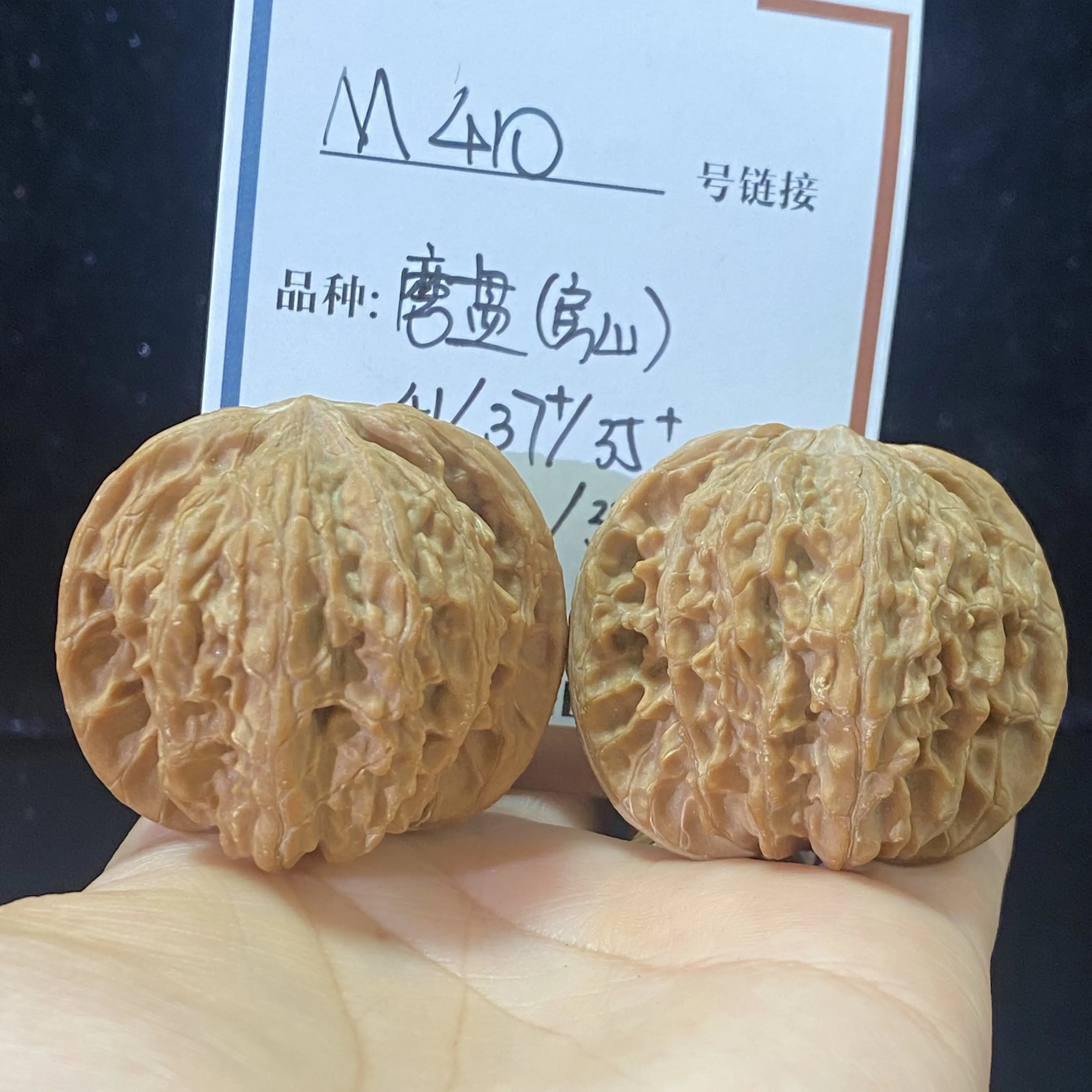 M410磨盘全品无修无药山地果41/38/35（白茬）