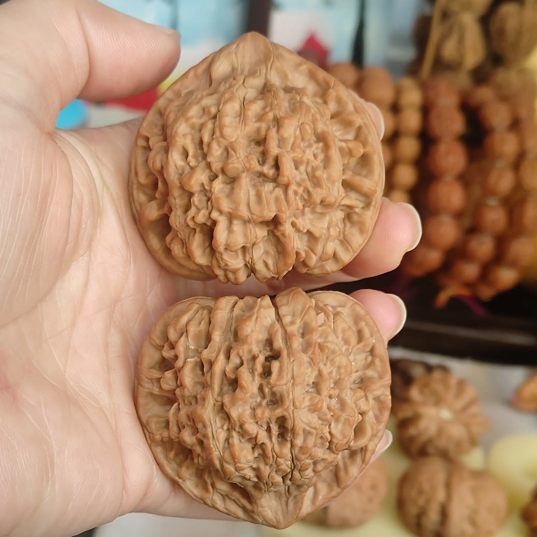 红皮麒麟纹官帽51尺寸全品